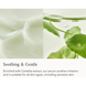 Освітлююча сироватка з вітаміном С та центелою азіатською BEAUTY OF JOSEON Light On Serum Centella + Vita C 30 мл 0087 фото 2